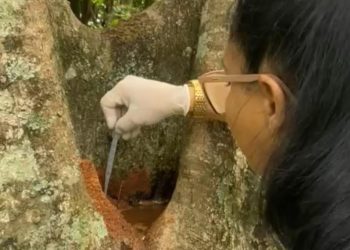 STI: Mutirão Contra a Dengue é Realizado no Terminal Turístico Alvorada de Itaipu