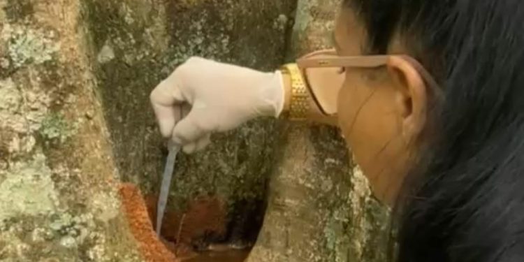 STI: Mutirão Contra a Dengue é Realizado no Terminal Turístico Alvorada de Itaipu